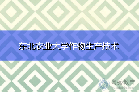 东农机械类专业如何？东北农业大学怎么样