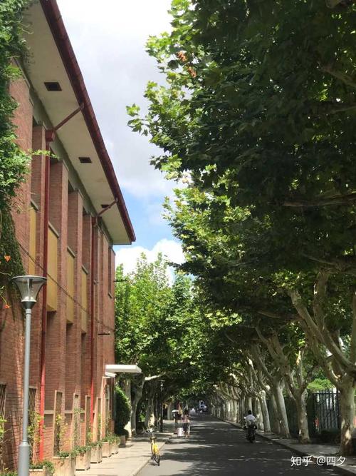 上海师范大学怎么样?能不能介绍一下校风,环境,口碑？上海师范怎么样