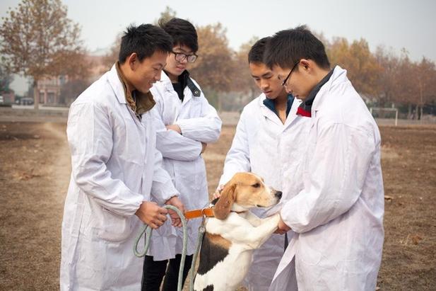 江苏农林职业技术学院的畜牧兽医专业怎么样啊？江苏农林的畜牧专业怎么样