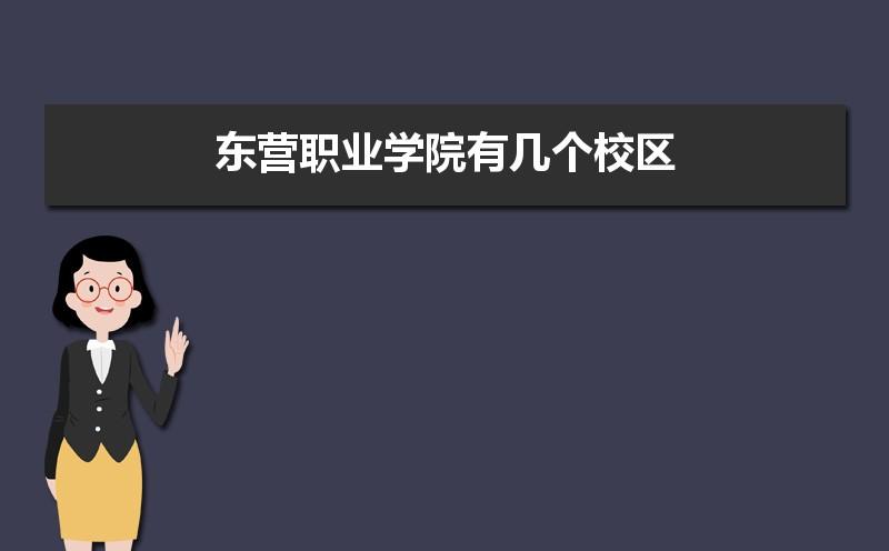 东营职业学院空乘专业就业率如何？东营职业学院怎么样了