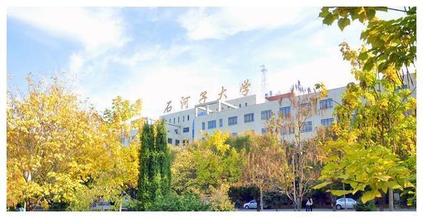 石河子大学在市中心吗？石河子大学的校区环境怎么样