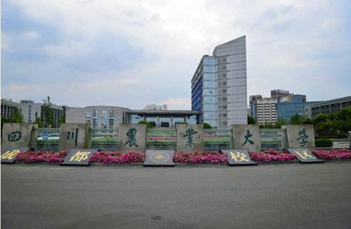四川农业大学到底怎么样？川农林学院怎么样