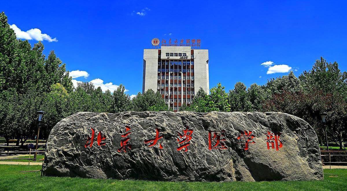 北大医学院和上交医学院哪个更好？北大的医学院怎么样