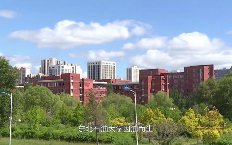 东北石油大学不及格可以辅修吗？上海东北片辅修怎么样