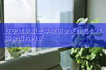 辽宁建筑职业学院宿舍是上床下桌吗？辽宁职业学院寝室怎么样2020
