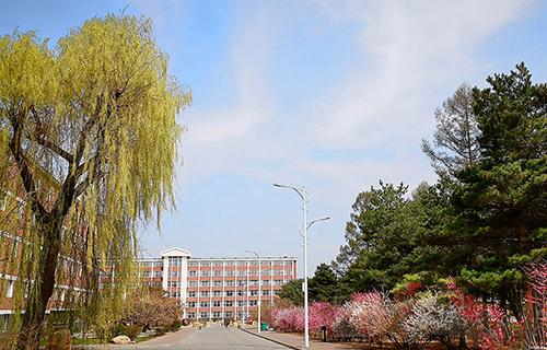 吉林职业技术学院怎么样？吉林职业技术学院怎么样图片