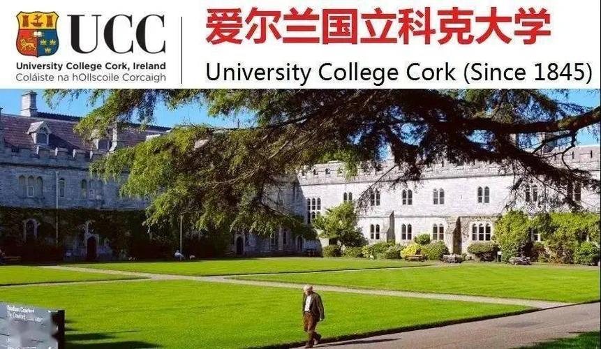 科克大学相当于国内哪所大学排名？考克大学怎么样