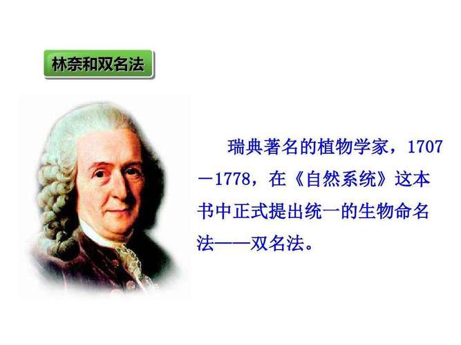 植物的命名法则是谁创立的？林奈大学的设计怎么样