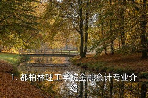 都柏林理工学院的基本情况是怎样的呢？都柏林？都柏林理工学院会计专业怎么样