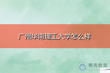 为什么不推荐报考华南理工？广东华南理工怎么样