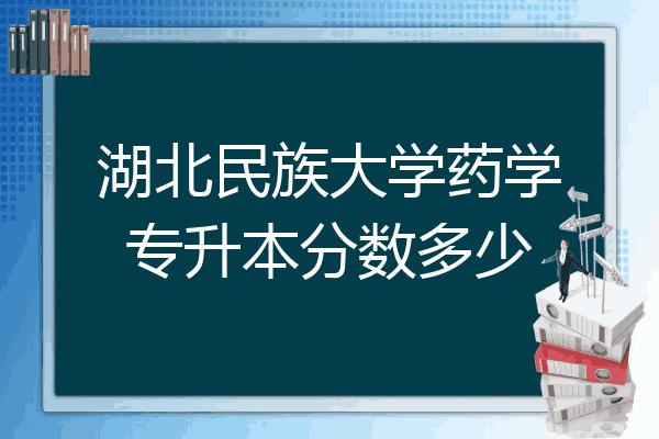 湖北民族大学里面最冷门的专业？大连民族大学财务管理专业怎么样