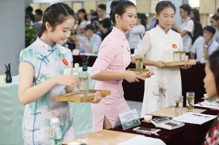 茶学专业太冷门了就业太难？茶学这个专业怎么样