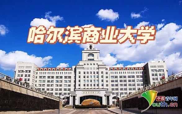 哈尔滨商业大学的总体评价？哈尔滨商业大学在财经类大学怎么样