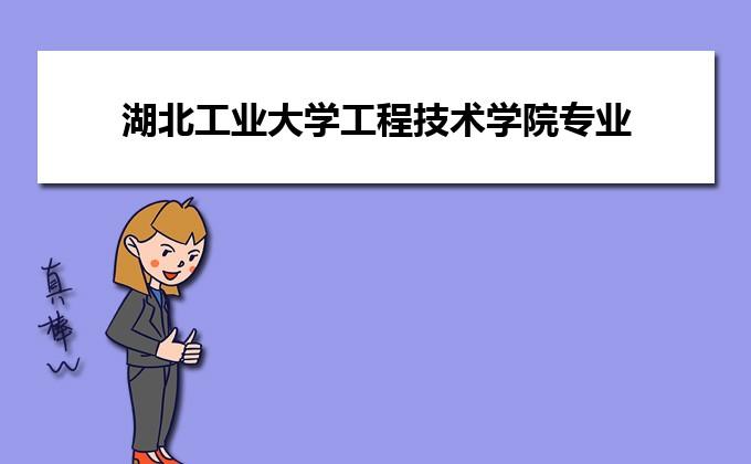 湖北工业大学工程技术学院软件工程专业好就业吗？湖北工程的专业怎么样