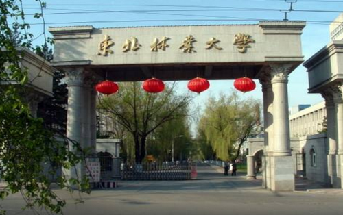 东北林业大学为什么口碑不好？东北林业大学 怎么样