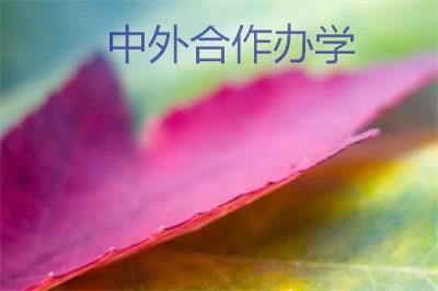 中外合办有什么好处和坏处？（重大中外合作怎么样）