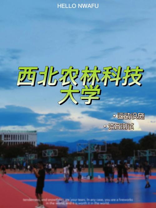 西北农林科技大学有哪些专业？（西农的信息与计算科学专业怎么样）