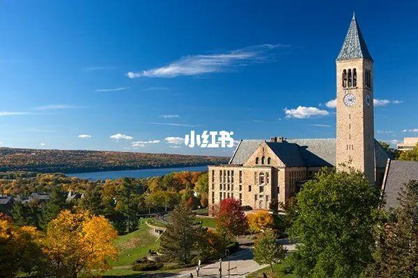 康奈尔大学就业前景？（美国康奈尔怎么样）