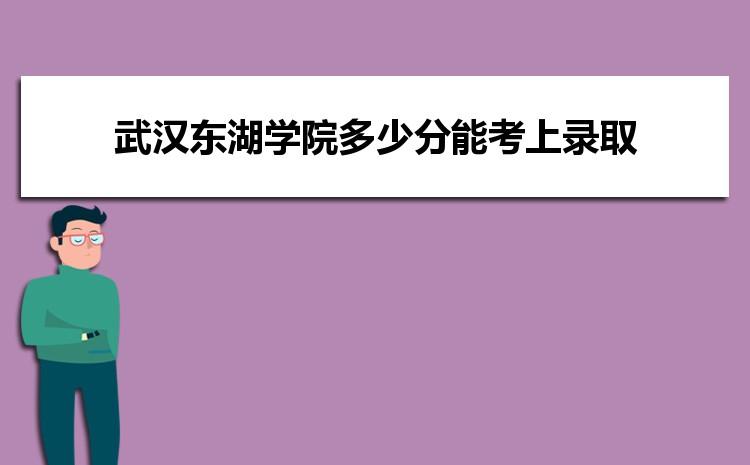 武汉东湖学院艺术类专业怎么样？（武汉的艺术教育专业怎么样）