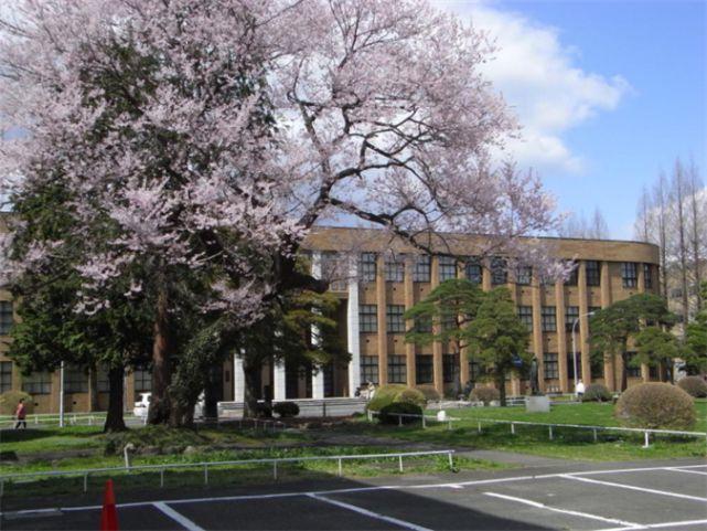 东京杏林大学和城西国际大学哪个好？（城西大学怎么样）
