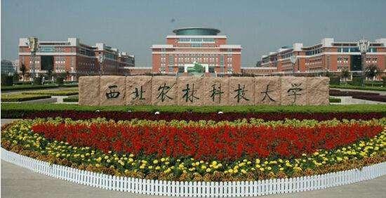 西北农林科技大学工科咋样？（西北农林科大学怎么样）