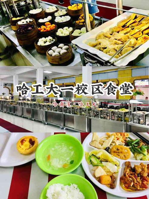 哈尔滨工业大学就业前景好的专业？（黑龙江能源职业技术学院食堂怎么样）
