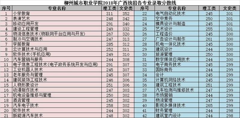 柳州城市职业学院都开设哪些专业？（柳州工学院的计算机专业怎么样）