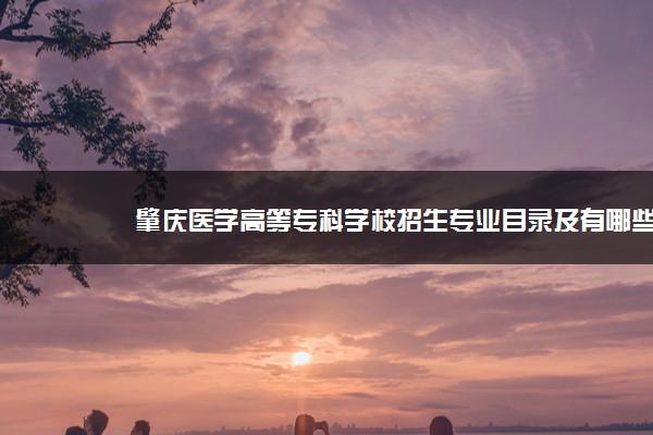 肇庆医学高等专科学校毕业生的就业怎样？（肇庆医学高等专科学校附属卫生学院怎么样）