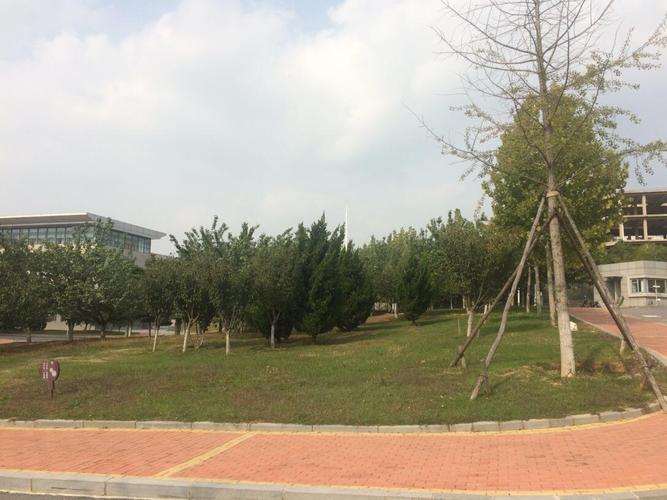 大连民族大学金石滩离哪些景点近？（大连民族大学附近怎么样）