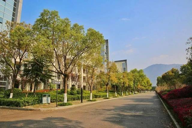 茶山职业技术学院介绍？（温职学院怎么样）