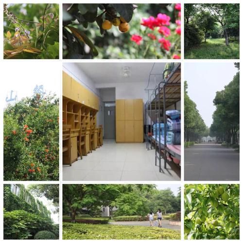 金山职业技术学院有前途吗？（上海金山职业技术学院怎么样）