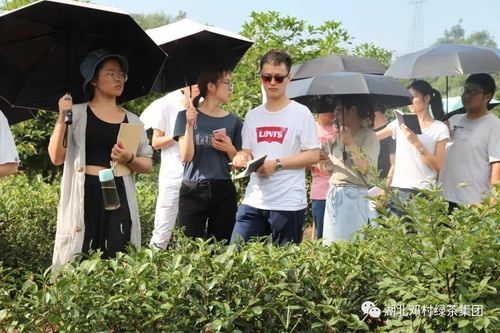 农业大学茶学就业前景？（茶学就业怎么样）
