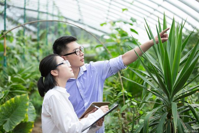植物学研究生的就业前景怎么样？（农学研究员怎么样）