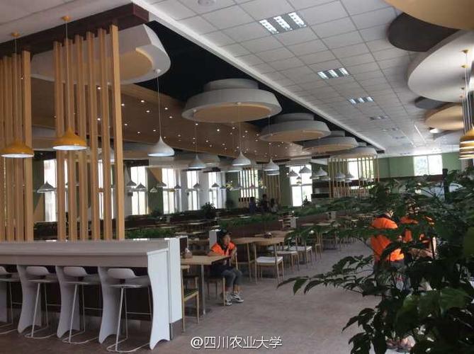 川农大哪个校区最好?(四川农业大学食品营养与健康怎么样)
