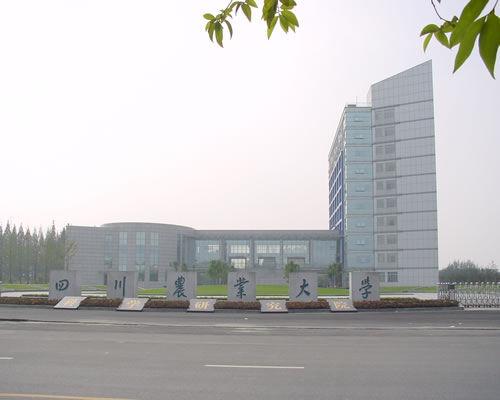 川农大哪个校区最好?(四川农业大学食品营养与健康怎么样)