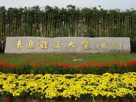 青岛理工大学费县校区 面积?(青岛理工大学临沂校区建筑工程专业怎么样)
