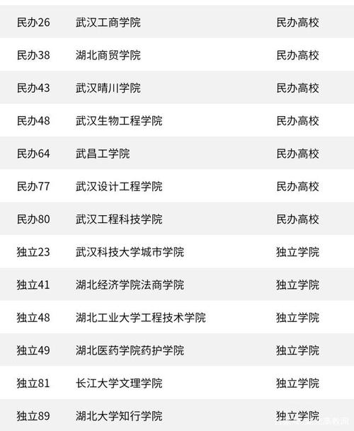 武汉大学网络安全学院就业前景？（汉口学院怎么样就业前景怎么样）