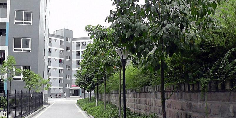 重庆城市管理职业学院在重庆哪里？（重庆城市管理职业学院的环境怎么样）