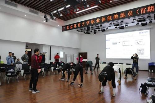 北体大体能训练好就业吗？（北体就业怎么样）