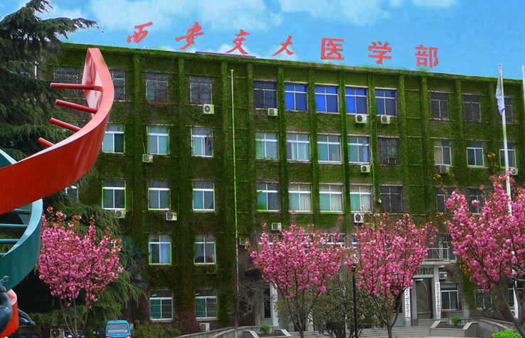 西安交大的医学部好吗？（西安交大临床怎么样）