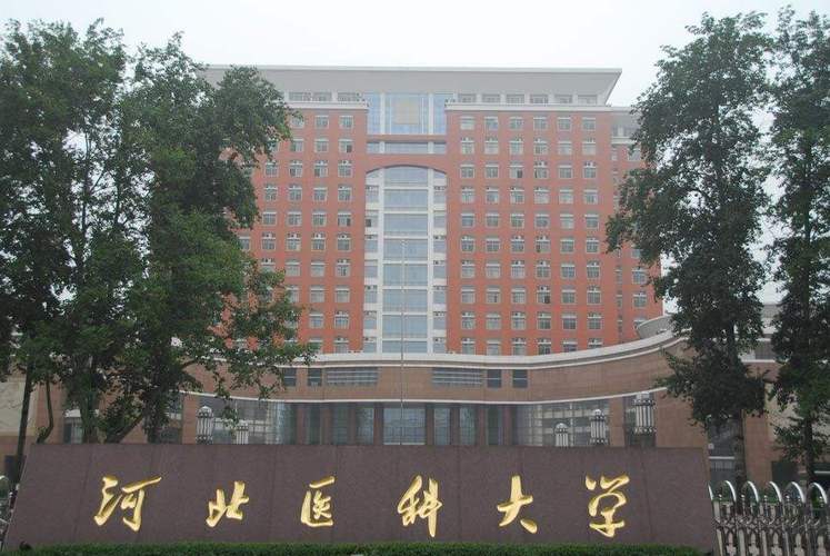 河北医科大学临床药学怎么样？（中国医科大学临床药学怎么样）