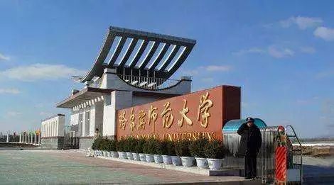 河北师范大学与哈尔滨师范大学相比哪个好？（哈师大环境怎么样）