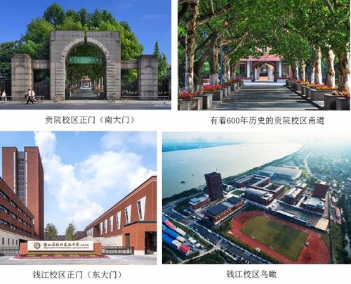 杭外中学为啥火？（杭州外国语大学怎么样）