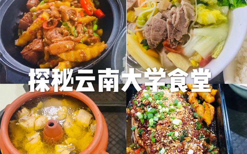 云南大学食堂对外开放吗?(云南大学伙食怎么样)