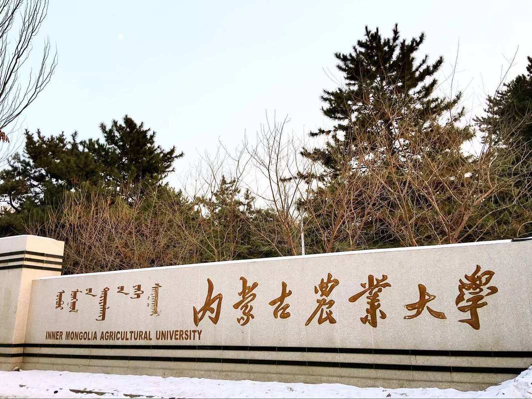 谁知道内蒙古农业大学怎么样?(内蒙古农业大学 怎么样)
