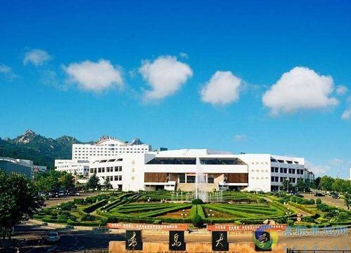 青岛大学怎么样？（青岛大学.怎么样）