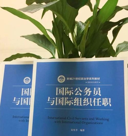 公务员可以做民间组织秘书长么？（国际组织任职怎么样）