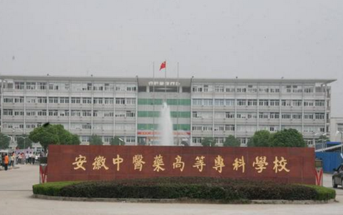 安医专的中医养生保健怎么样?(安中医 药专科 学校怎么样)