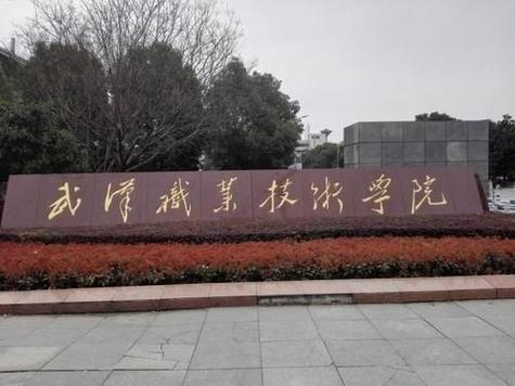 武汉职业技术学院怎么样?学校环境好不好?(武汉职业技术学院的伙食怎么样)