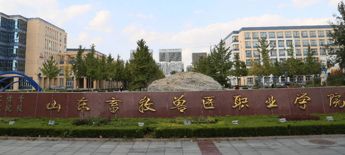 山东畜牧兽医职业学院是双高吗？（山东畜牧兽医学院怎么样啊）